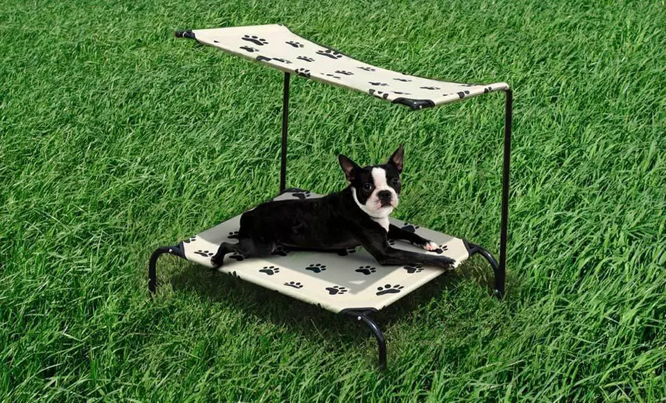 $29.99 for The Pet Store Foldable or Canopied Pet Cots ($99.99 List Price). Free Shipping and Free Returns. - Second Medium