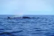 Adventure Tour for One or Two from Great E.A.R.T.H. Expeditions (Up to 50% Off). Three Options Available. - Second Medium