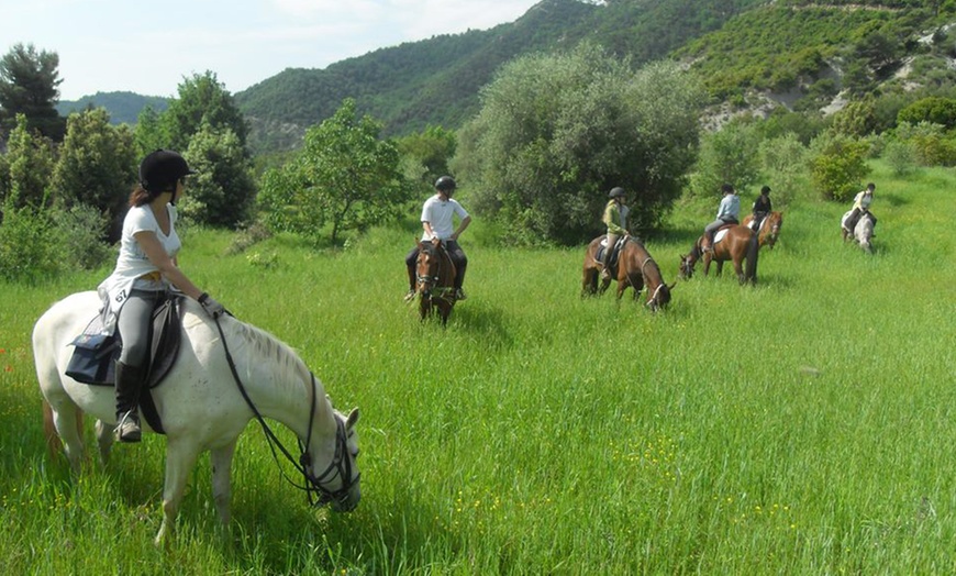 Image 2: Jusqu'à 20% de remise sur Équitation - Loisir chez Horse Planet