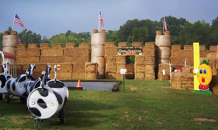 Get Lost in Corn Maze: Perfect Family Fall Adventure for 1-4 people