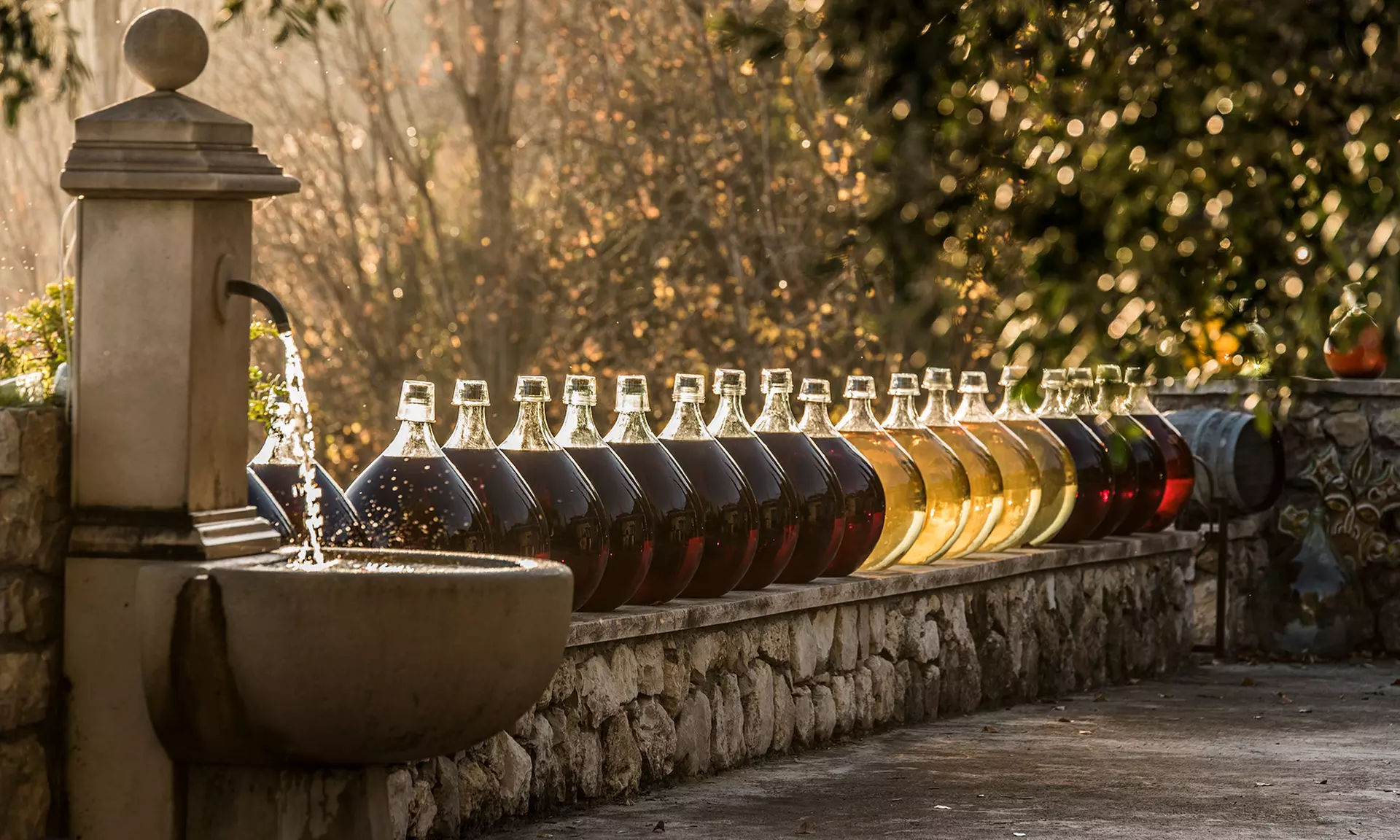 Visite guidée et dégustation