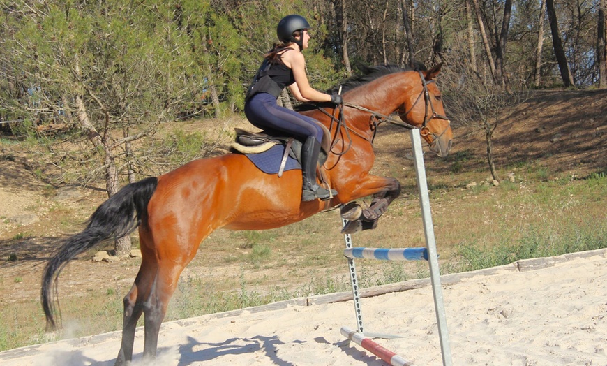 Image 2: ¡Aprende a montar a caballo como un pro en Centre Hípic Montserrat!