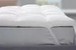 Sur-matelas plumes de canard, housse 100% coton percale - Second Medium