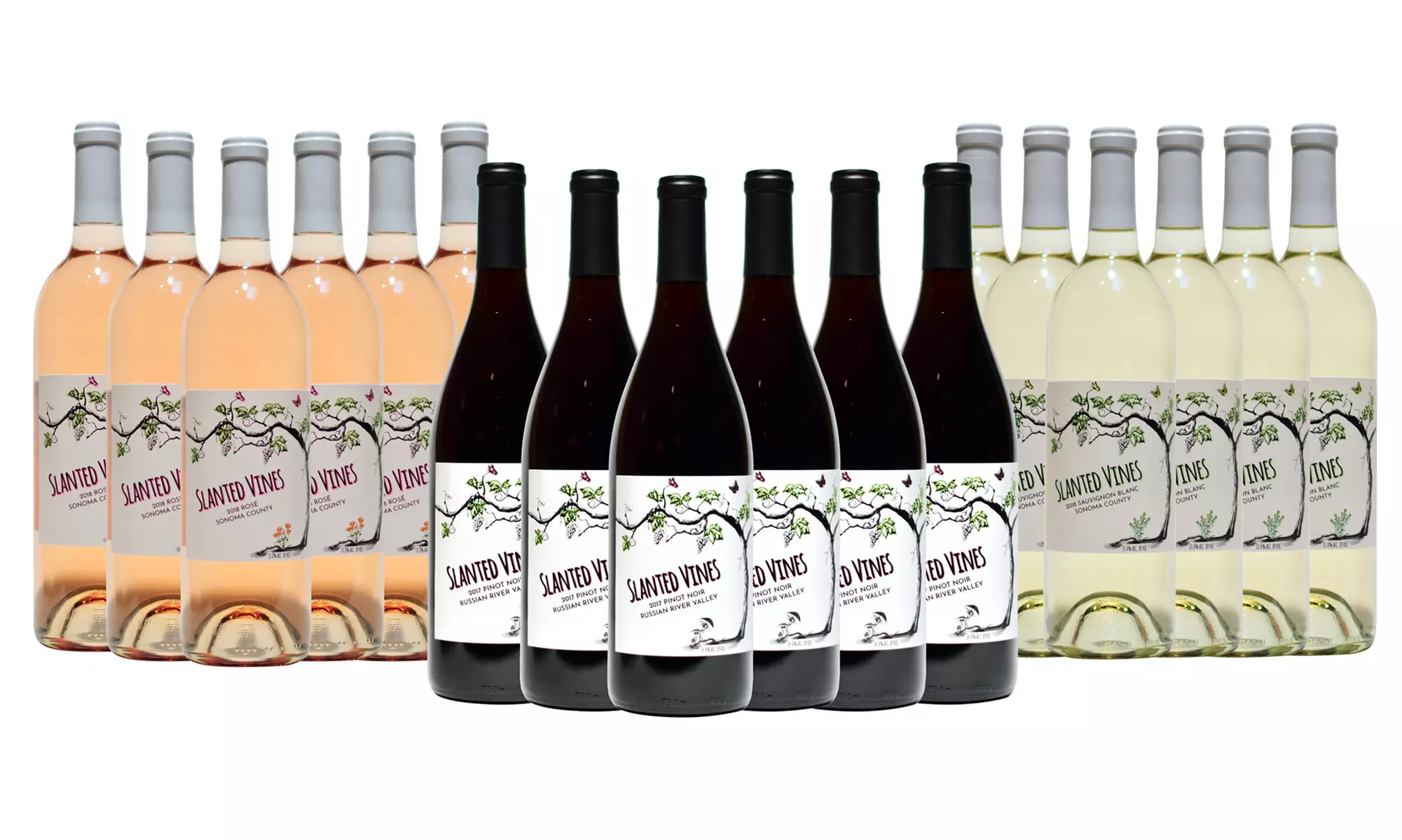Slanted Vines Wines (6- or 12-Pack). Shipping Included. - Primary Image
