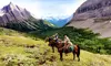 Two- or Three-Day Horseback Trips from Holiday on Horseback (Up to 40% Off)