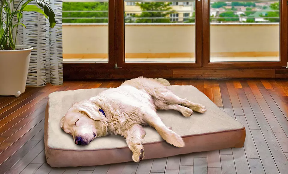Orthopedic Pet Mattress from $16.99–$34.99 - Primary Image