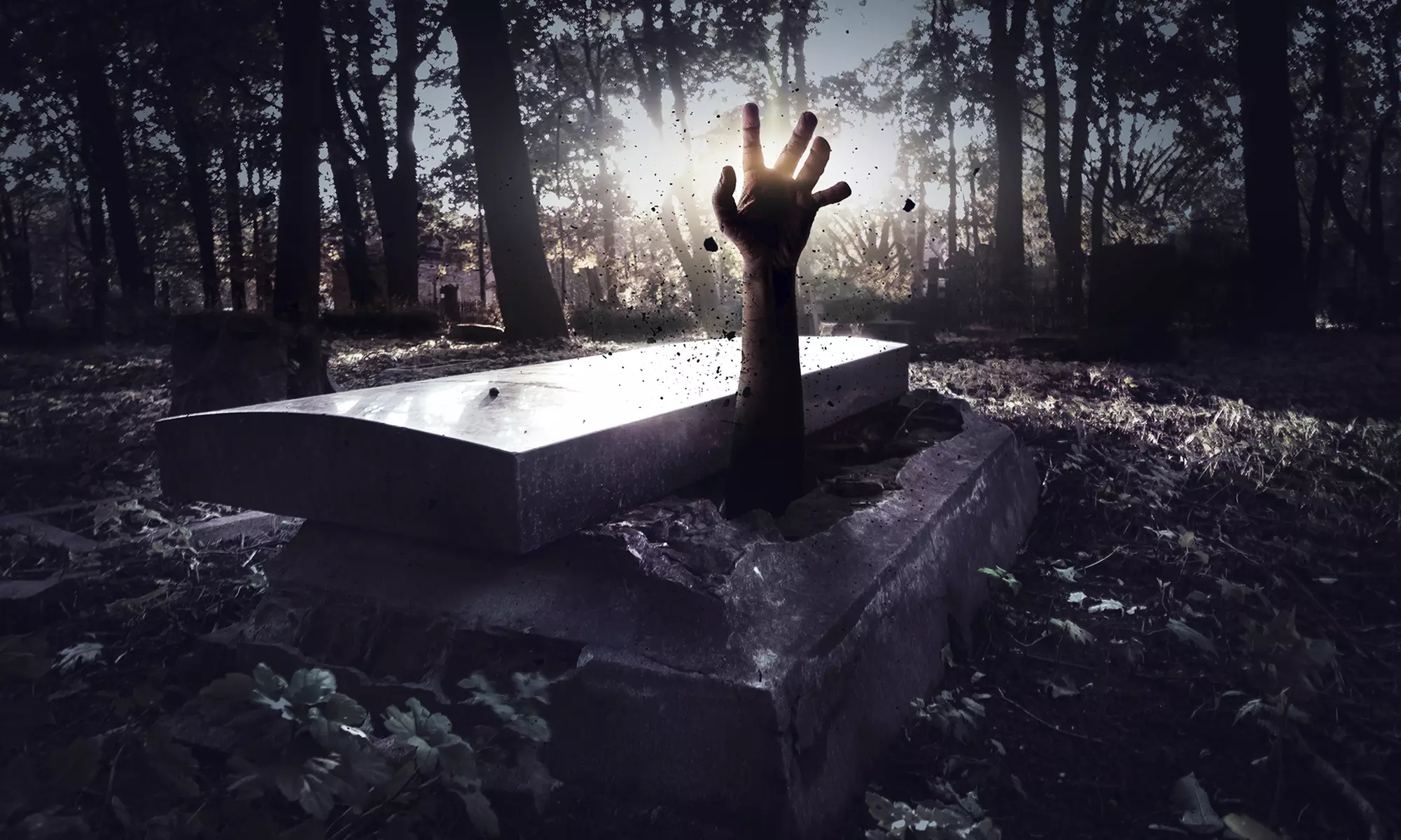 Night Terrors Haunted Woods Walk or Zombie Zip Tour at Take Flight (Up to 50% Off)  - Primary Image