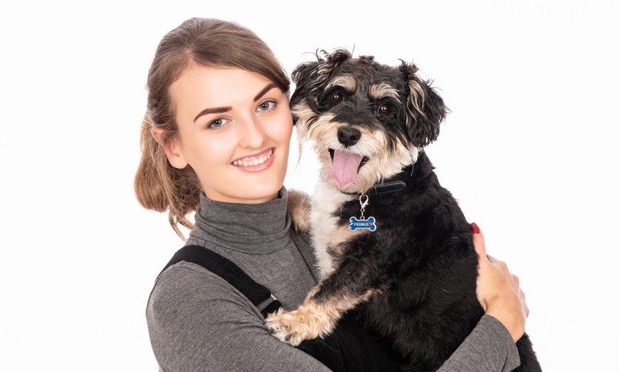 Image 4: Capture Precious Pet Moments in Studio at Barrett & Coe studios