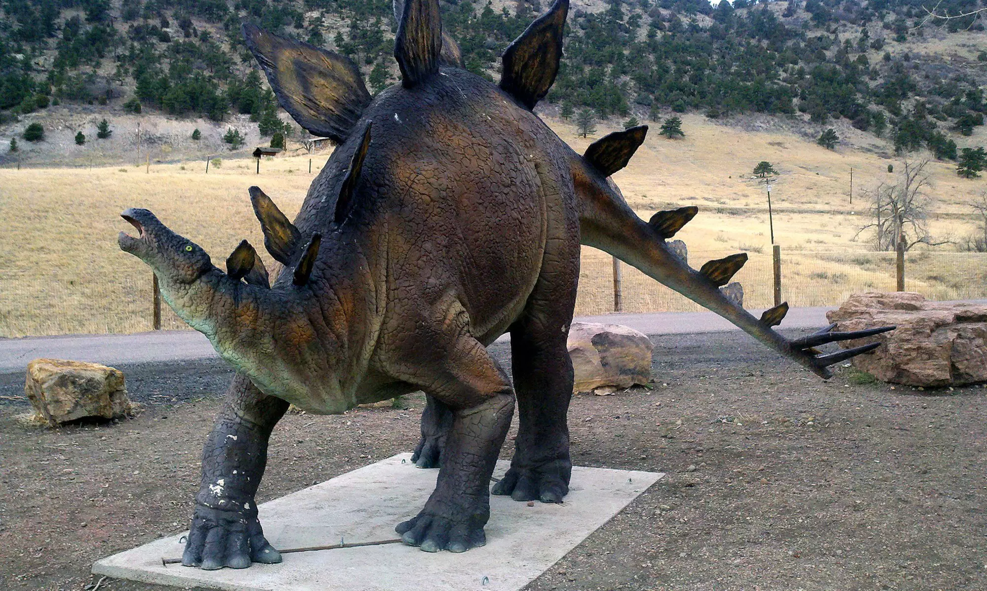$22﻿ for a One-Year Family Membership to Dinosaur Ridge ($60 Value) - Primary Image