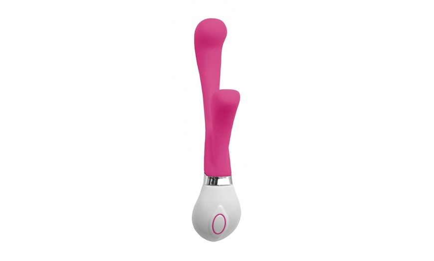 Image 4: Pasante Vibrators 