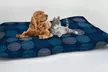 Almohada para perros o gatos - Second Medium