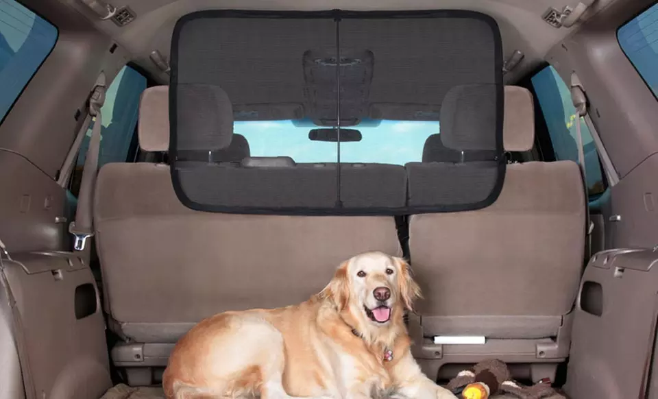 Solvit Cargo Area Net Barrier for Pets. Free Shipping and Returns. - Primary Image