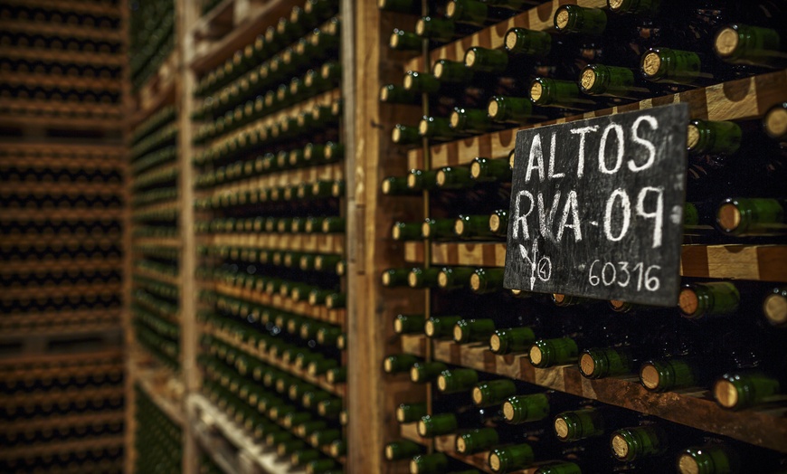 Image 4: Descubre el viñedo: visita a la bodega y cata de vinos para 2, 4 o 6