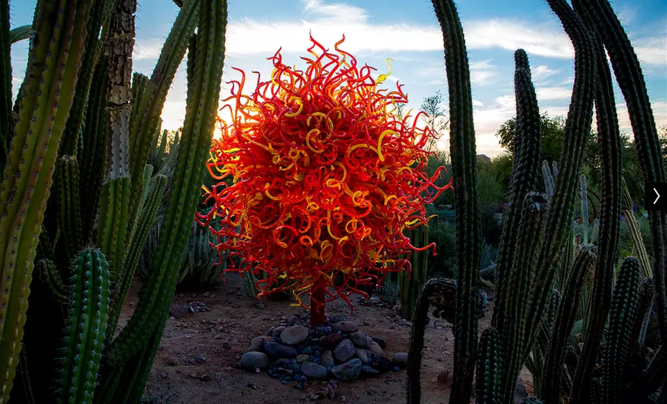 Chihuly in the Garden Sculpture Exhibit at Desert Botanical Garden ($22 Value) - Primary Image