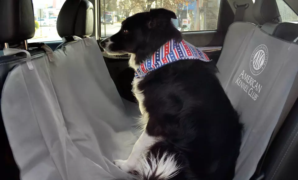 American Kennel Club Car Seat Cover in Black, Gray, or Tan. Free Returns. - Primary Image