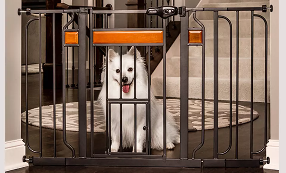 Design Walk-Through Pet Gate - Primary Image
