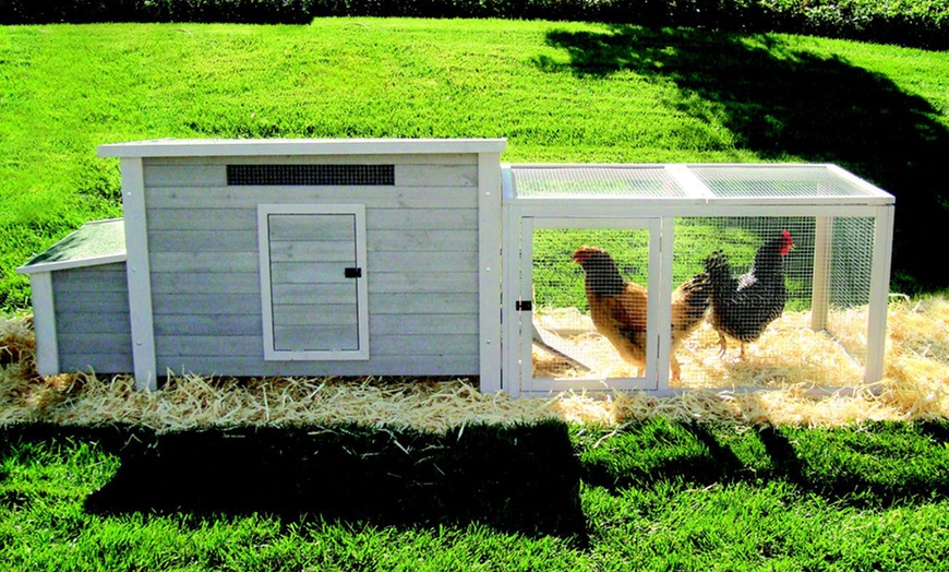 Precision Pet Chicken Coops | Groupon Goods