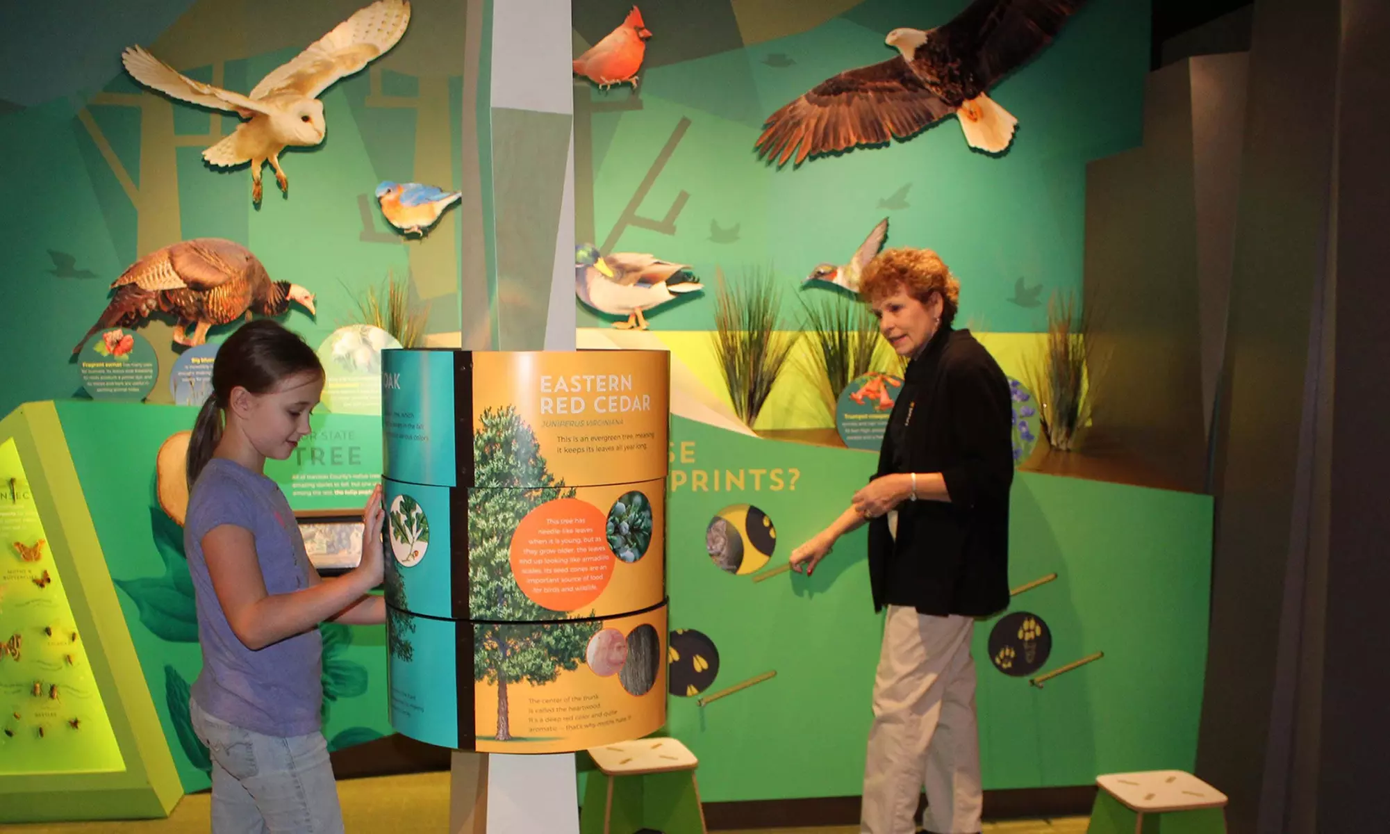 Explore History and Nature at Harrison County Discovery Center