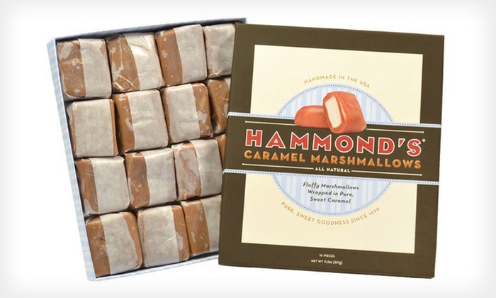 Hammond’s Candies | Groupon Goods