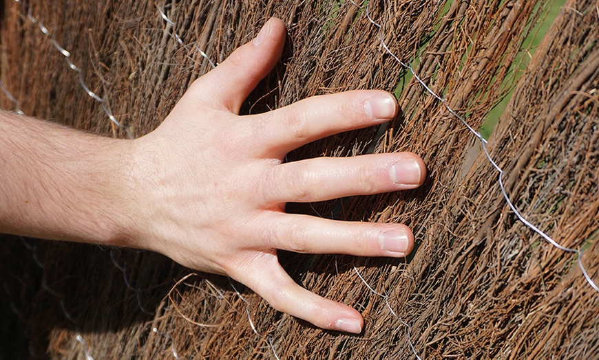 Image 3: Brushwood Thatch Screen Roll