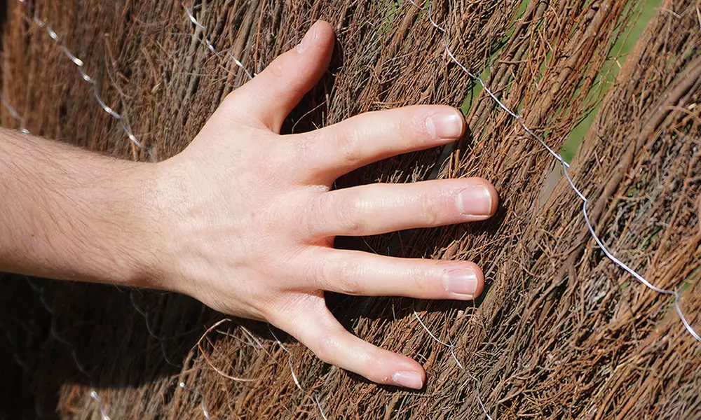 Brushwood Thatch Screen Roll