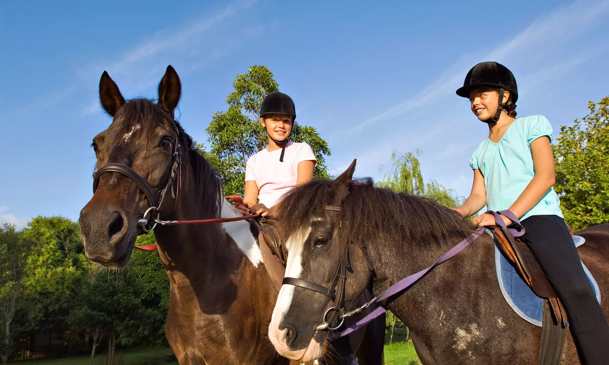 $39 for Two 60-Minute Introductory Horseback-Riding Lessons at HeronCrest Stables ($80 Value) - Primary Image