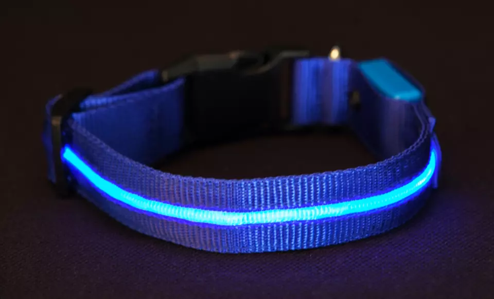 Series 5000 Ultra-Bright LED Collars and Leashes - Second Medium