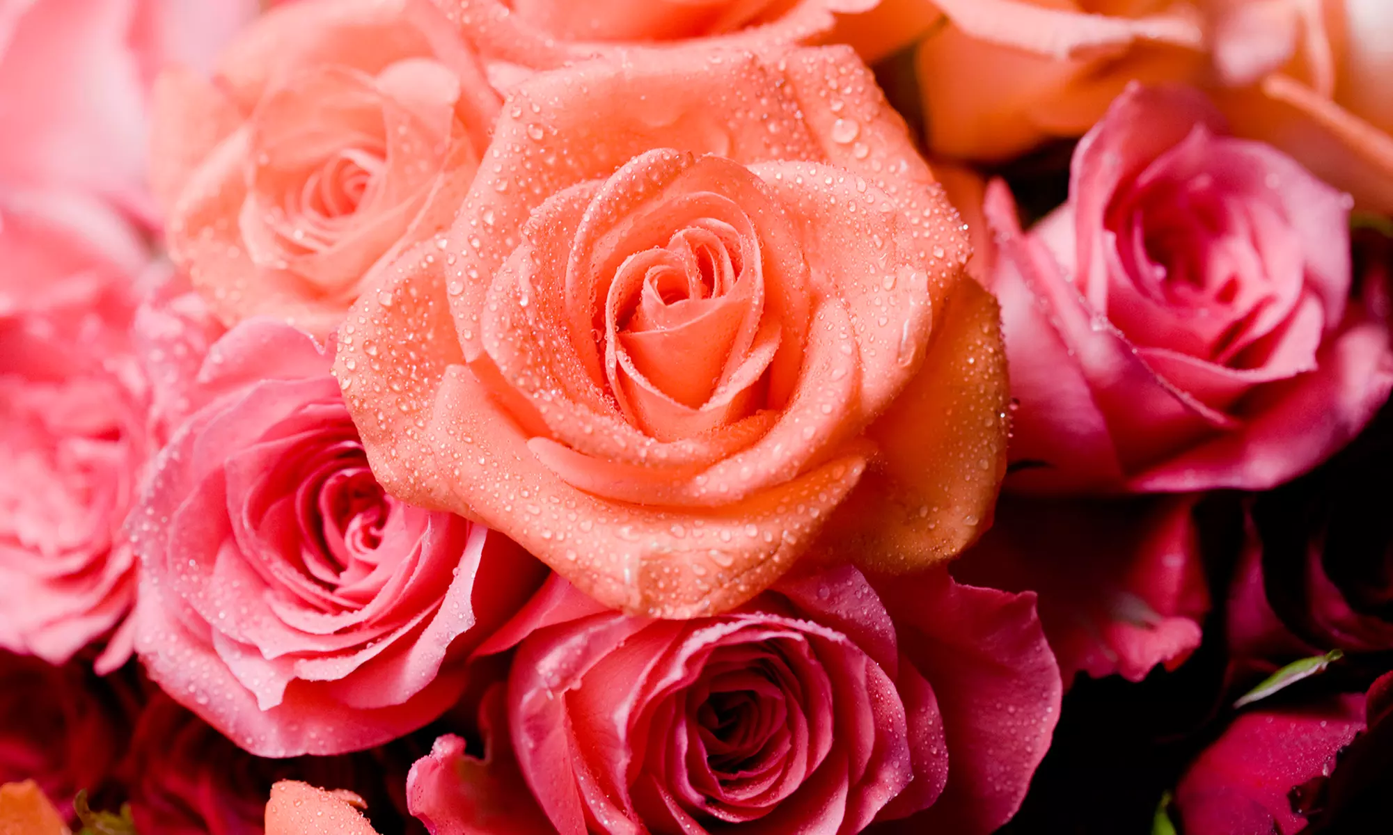 Customized Printed Petal Flower Arrangements by Prominent Petals (50% Off) - Primary Image