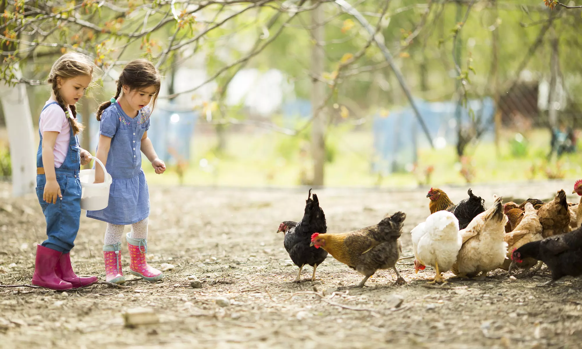Farm Visit for One, Two, or Four at Three Sisters Farm (Up to 50% Off ) - Primary Image