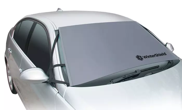 2-Pack of Winter Windshield Covers. Free Shipping and Returns. - Second Medium