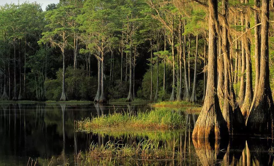 Two-Night Stay at Governors Inn in Tallahassee, FL - Second Medium