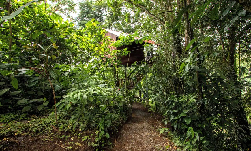 Image 15: ✈ 6-Nt Costa Rica Volcano and Beach Trip w/Air, Car from Travel by Jen