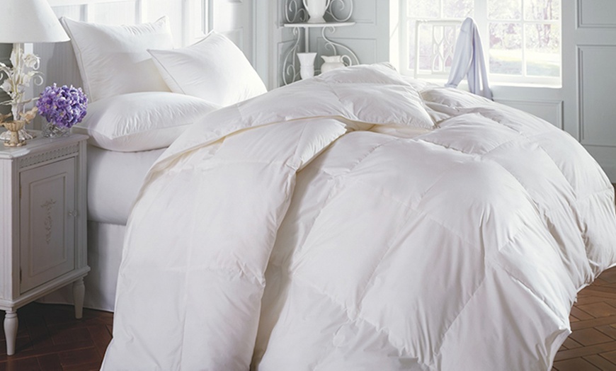 Groupon 2024 feather duvet