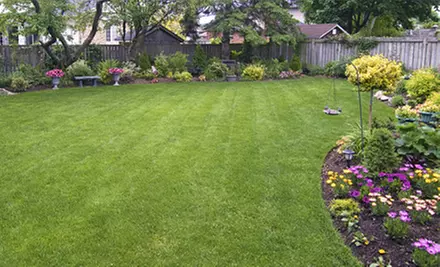 $25 for a Full Weed Control and Crabgrass Treatment from Weed Man (Up to $57 Value) - Primary Image