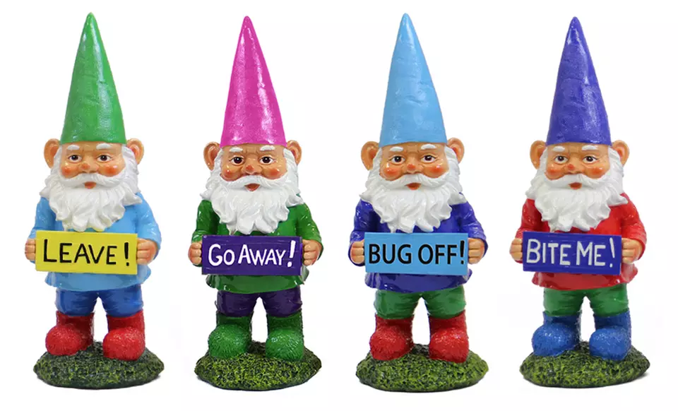 Garden Gnomes With Attitude. Multiple Styles Available. Free Returns. - Primary Image
