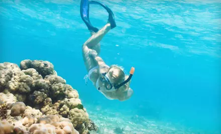 $200 for Six-Hour Chartered Scalloping Trip for Four from Fish Benthic in Crystal River ($400 Value) - Primary Image