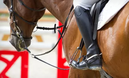 One or Two Horseback-Riding Lessons at Placid Hills Stables in Troy (Up to 55% Off) - Primary Image