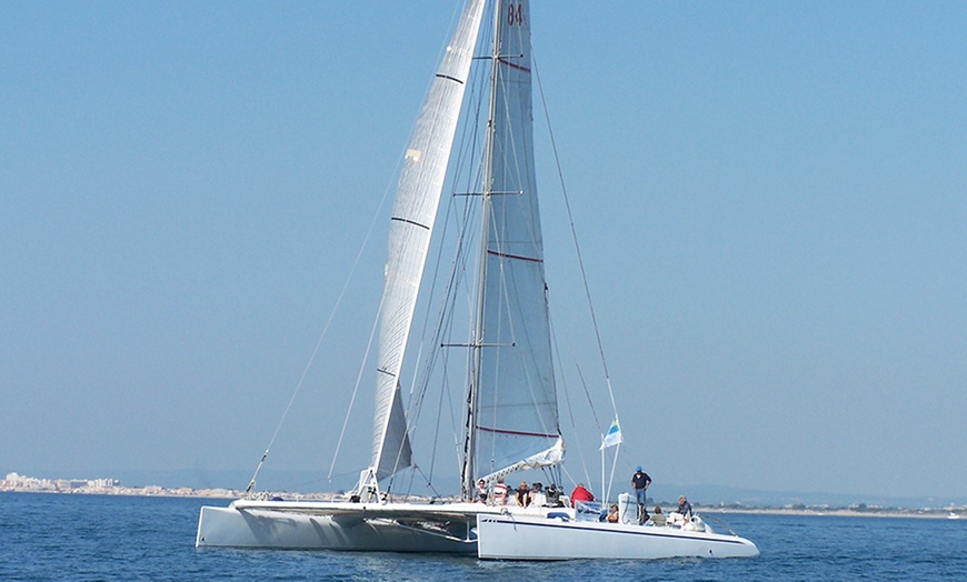 Image 3: Cap sur la Camargue : balade en catamaran avec Voile med