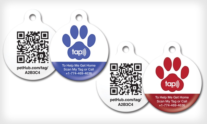 PetHub Tags and Lost-Pet Service | Groupon Goods