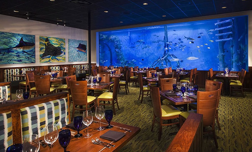 RumFish Grill in - St. Pete Beach, FL | Groupon