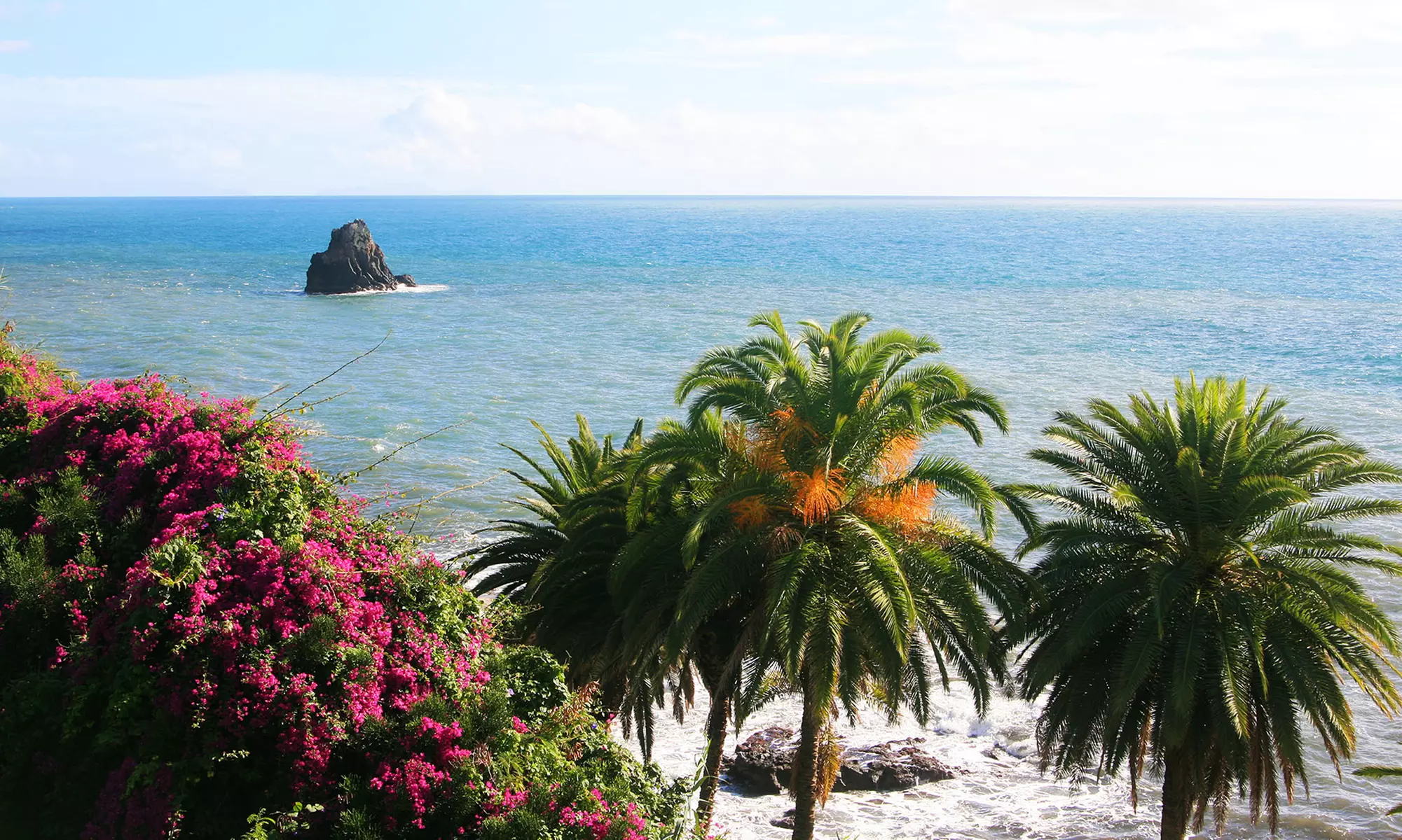✈ Madeira: 6-Night Adventure with Flights & Rental Car