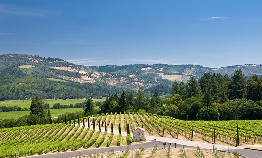 OLD TIN Vino Bello Resort in - Napa, CA | Groupon Getaways