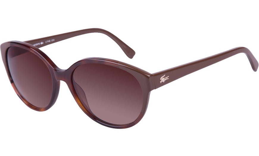 Image 24: Lacoste Sunglasses