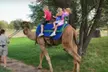 Wildlife Outing for Two or Four to Tanganyika Wildlife Park in Goddard (Half Off) - Second Medium