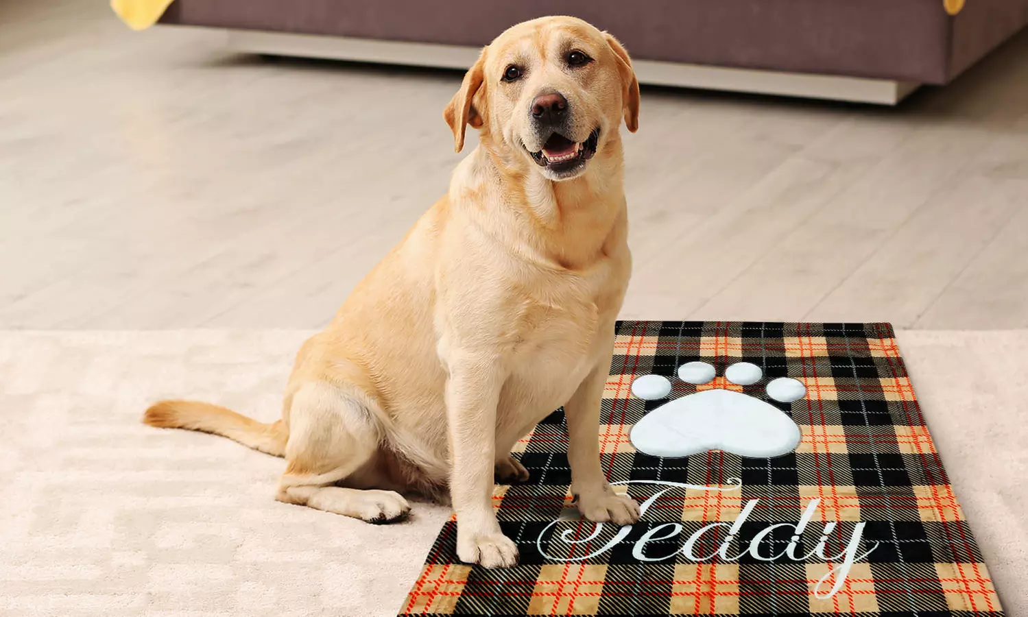 Personalised Fleece Dog Blanket from Printerpix