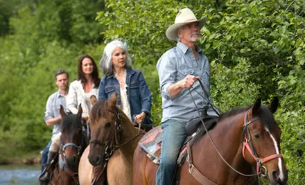 Private Horseback-Riding Lessons or a Guided Trail Ride at Flying Change Performance Horses & Ponies (Up to 56% Off) - Primary Image