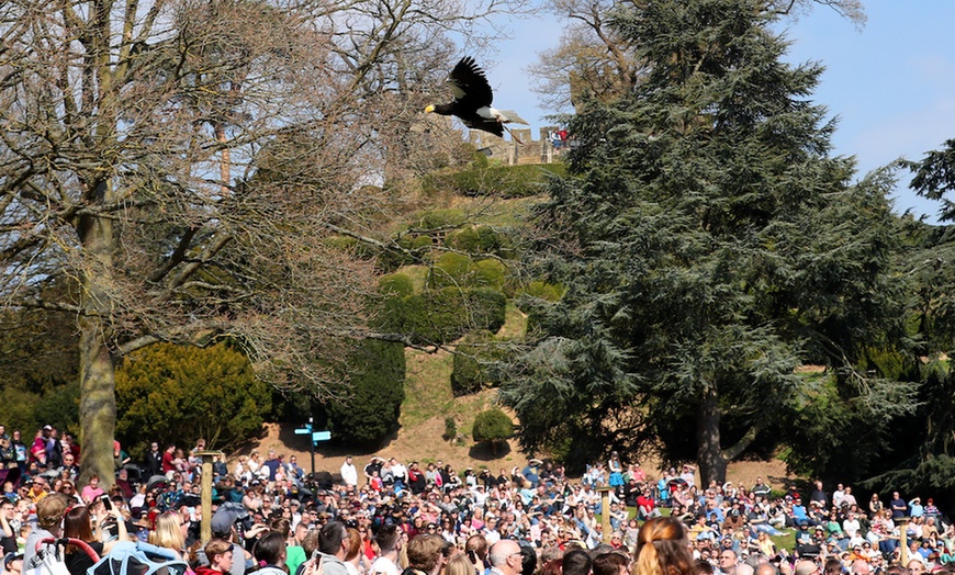 Image 10: Warwick Castle Entry