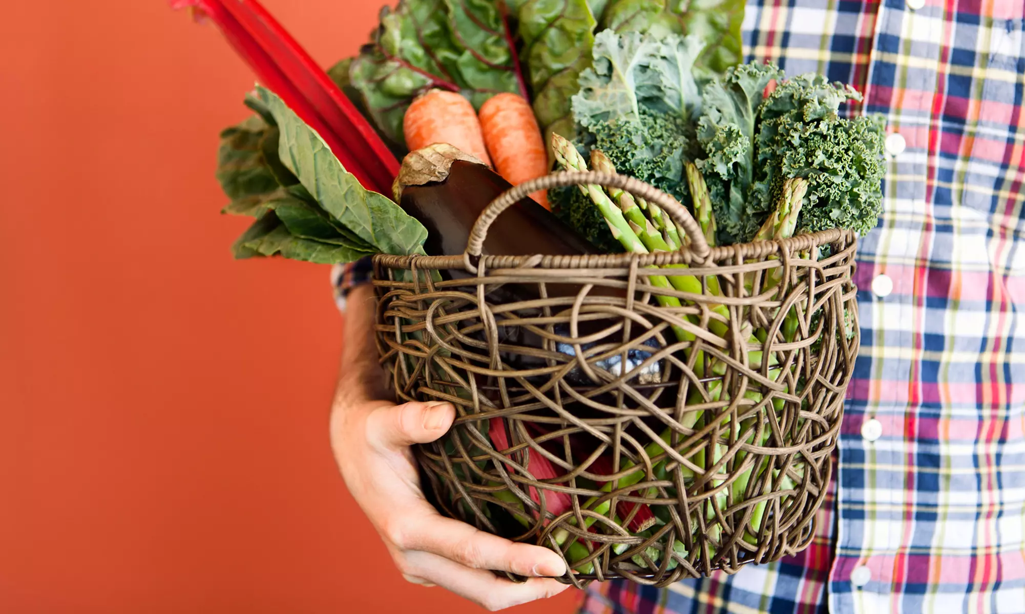 $145 for a 4'x4' Vegetable Garden with 16 Crops Including Installation from Tampa Urban Farming ($295 Value) - Primary Image