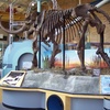 Image 6: Interactive Science Center Admission - Explore 200+ Exhibits 
