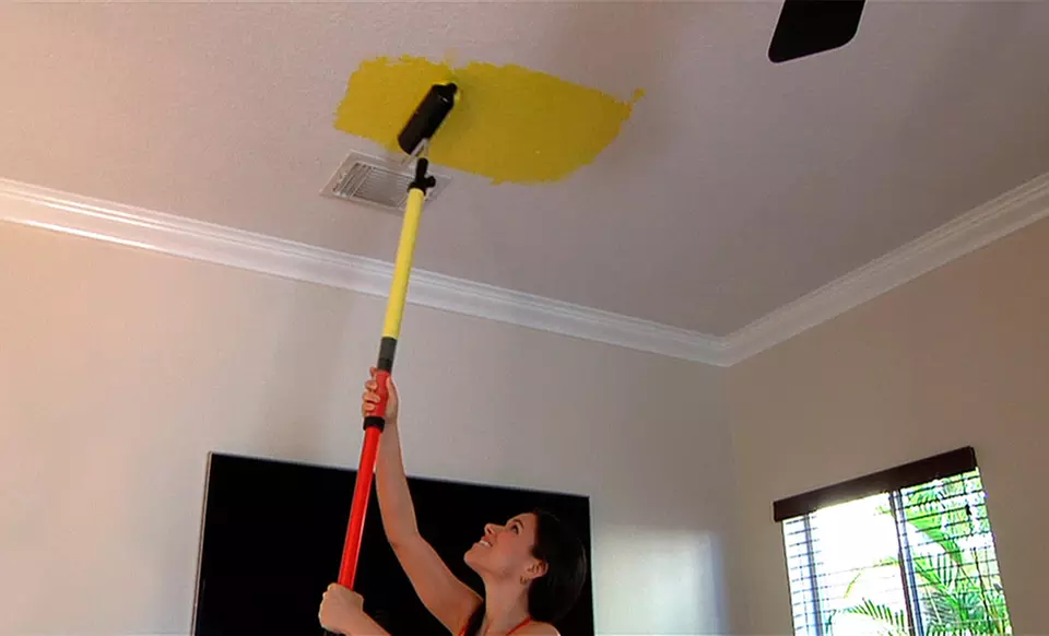 Go Roller Paint Applicator - Second Medium